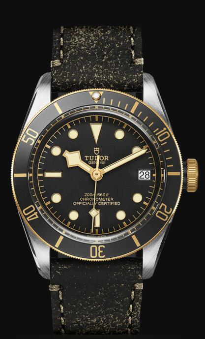Tudor BLACK BAY S&G M79733N-0007 Replica Watch